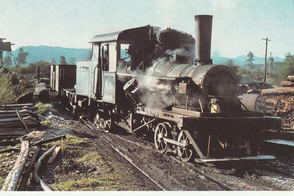 NZ HEISLER GEARED STEAM LOGGING LOCOMOTIVE July 1967 Ngahere – John ...