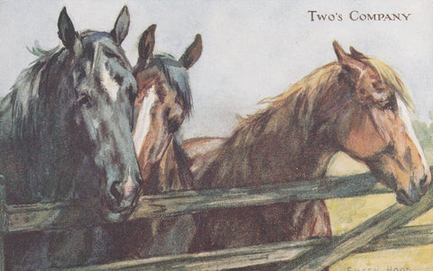 ARTIST SIGNED EILEEN HOOD TWO'S COMPANY THREE HORSES POSTCARD