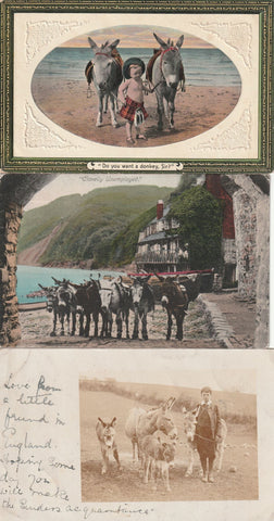 DONKEY INCL REAL PHOTO POSTCARDS