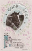 GOOD LUCK HORSESHOE HAPPY BIRTHDAY GREETINGS EMBOSSED POSTCARD